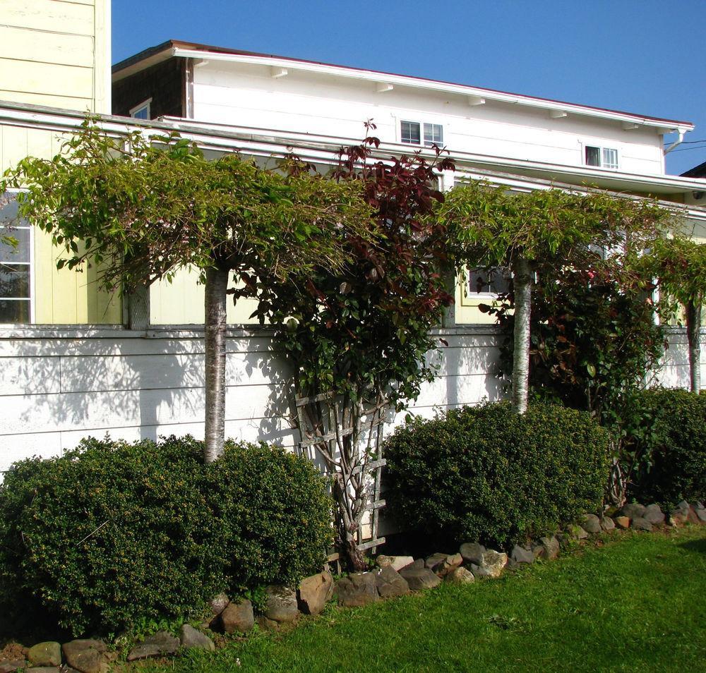 Pacific City Inn Εξωτερικό φωτογραφία